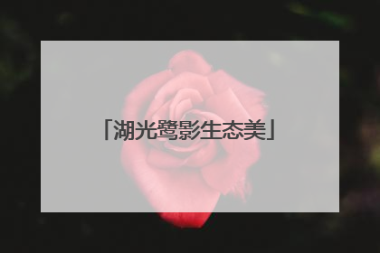 湖光鹭影生态美