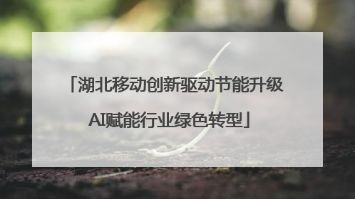 湖北移动创新驱动节能升级 AI赋能行业绿色转型
