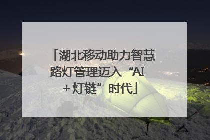 湖北移动助力智慧路灯管理迈入“AI＋灯链”时代
