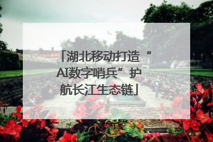 湖北移动打造“AI数字哨兵”护航长江生态链