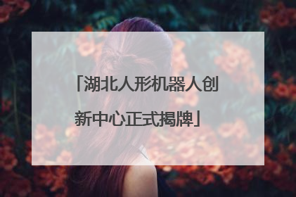 湖北人形机器人创新中心正式揭牌