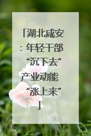 湖北咸安：年轻干部“沉下去” 产业动能“涨上来”