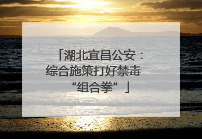 湖北宜昌公安：综合施策打好禁毒“组合拳”