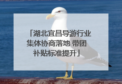 湖北宜昌导游行业集体协商落地 带团补贴标准提升