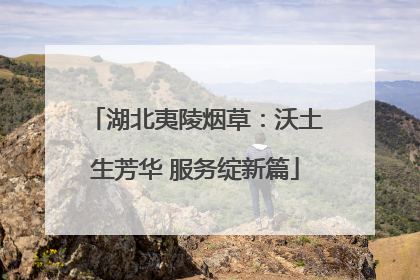 湖北夷陵烟草：沃土生芳华 服务绽新篇
