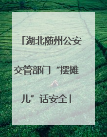 湖北随州公安交管部门“摆摊儿”话安全