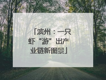 滨州：一只虾“游”出产业链新图景