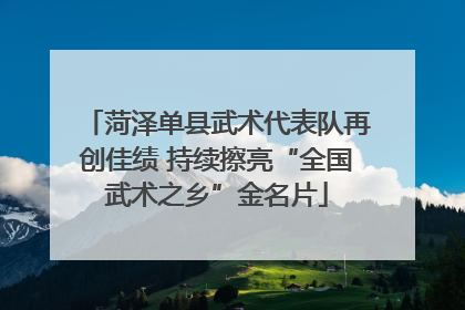 菏泽单县武术代表队再创佳绩 持续擦亮“全国武术之乡”金名片