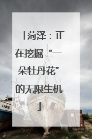 菏泽：正在挖掘“一朵牡丹花”的无限生机