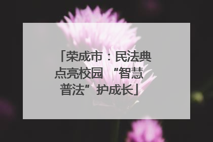 荣成市：民法典点亮校园 “智慧普法”护成长