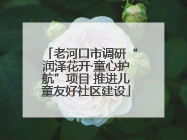 老河口市调研“润泽花开·童心护航”项目 推进儿童友好社区建设