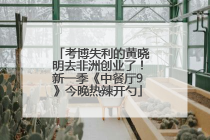 考博失利的黄晓明去非洲创业了！新一季《中餐厅9》今晚热辣开勺