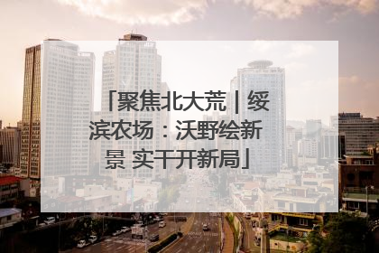 聚焦北大荒｜绥滨农场：沃野绘新景 实干开新局