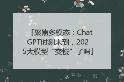 聚焦多模态：ChatGPT时刻未到，2025大模型“变慢”了吗