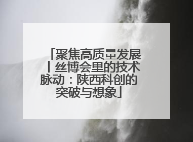 聚焦高质量发展丨丝博会里的技术脉动：陕西科创的突破与想象