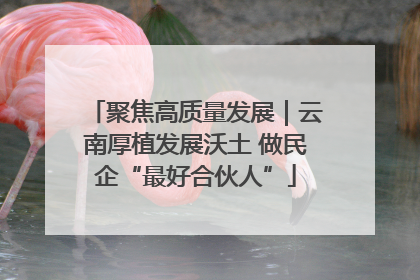 聚焦高质量发展｜云南厚植发展沃土 做民企“最好合伙人”