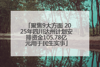 聚焦9大方面 2025年四川达州计划安排资金105.78亿元用于民生实事