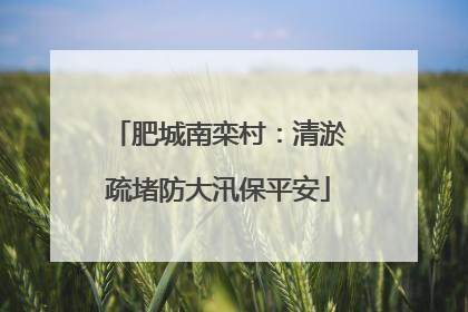 肥城南栾村：清淤疏堵防大汛保平安