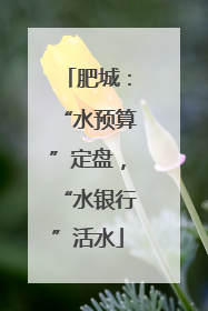 肥城：“水预算”定盘，“水银行”活水