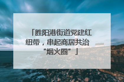 胜阳港街道党建红纽带，串起商居共治 “烟火圈”