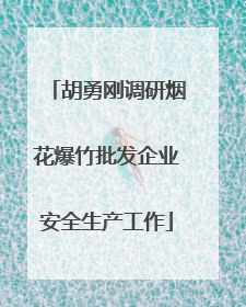 胡勇刚调研烟花爆竹批发企业安全生产工作