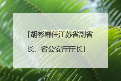 胡彬郴任江苏省副省长、省公安厅厅长