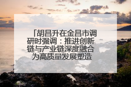 胡昌升在金昌市调研时强调：推进创新链与产业链深度融合 为高质量发展塑造新动能新优势