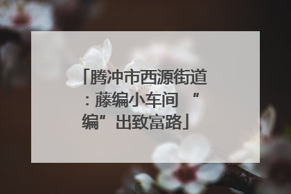 腾冲市西源街道：藤编小车间 “编”出致富路