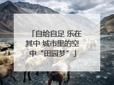 自给自足 乐在其中 城市里的空中“田园梦”