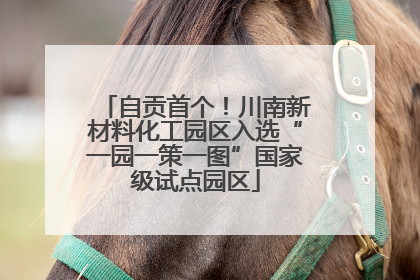 自贡首个！川南新材料化工园区入选“一园一策一图”国家级试点园区