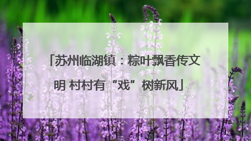 苏州临湖镇：粽叶飘香传文明 村村有“戏”树新风