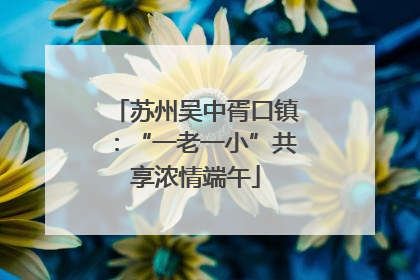 苏州吴中胥口镇：“一老一小”共享浓情端午