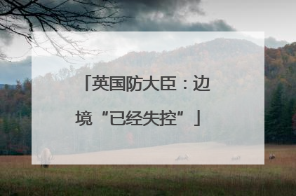 英国防大臣：边境“已经失控”