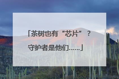 茶树也有“芯片”？守护者是他们……