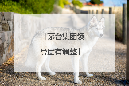 茅台集团领导层有调整