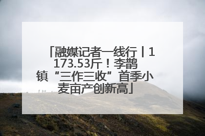 融媒记者一线行丨1173.53斤！李鹊镇“三作三收”首季小麦亩产创新高