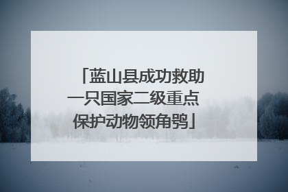 蓝山县成功救助一只国家二级重点保护动物领角鸮