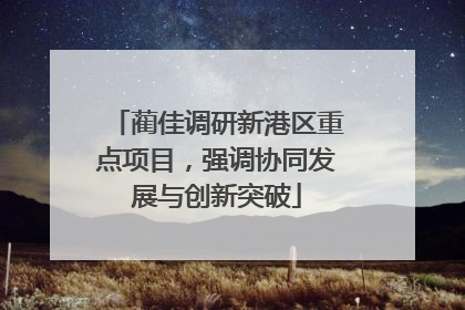 蔺佳调研新港区重点项目，强调协同发展与创新突破