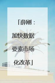 薛刚：加快数据要素市场化改革