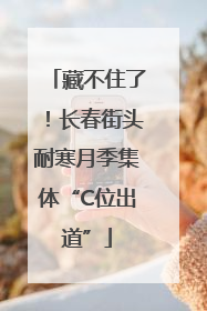 藏不住了！长春街头耐寒月季集体“C位出道”