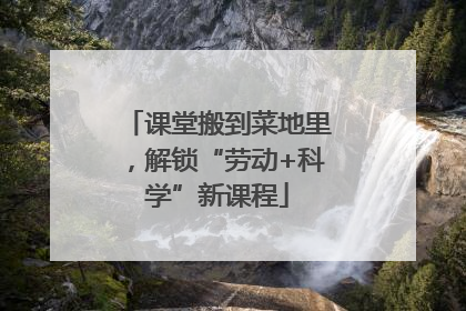 课堂搬到菜地里，解锁“劳动+科学”新课程