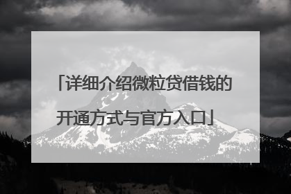 详细介绍微粒贷借钱的开通方式与官方入口