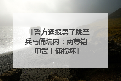 警方通报男子跳至兵马俑坑内：两尊铠甲武士俑损坏