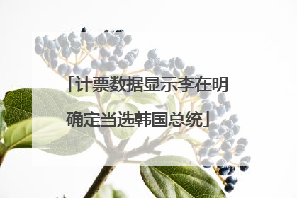 计票数据显示李在明确定当选韩国总统