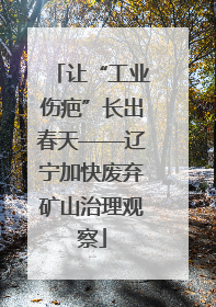 让“工业伤疤”长出春天——辽宁加快废弃矿山治理观察