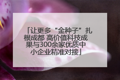 让更多“金种子”扎根成都 高价值科技成果与300余家优质中小企业精准对接