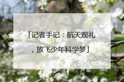 记者手记：航天观礼，放飞少年科学梦