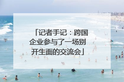 记者手记：跨国企业参与了一场别开生面的交流会