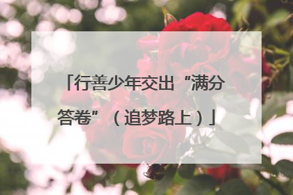 行善少年交出“满分答卷”（追梦路上）