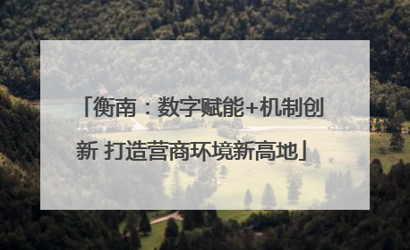 衡南：数字赋能+机制创新 打造营商环境新高地